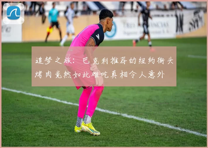 追梦之旅：巴克利推荐的纽约街头烤肉竟然如此难吃真相令人意外